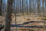Lot 11 Red Fox Rd - Photo 16