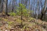 Lot 11 Red Fox Rd - Photo 18