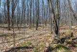Lot 13 Red Fox Rd - Photo 11