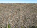 Lot11-13 Red Fox Rd - Photo 29