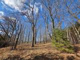 ON Roe Lake Rd - Photo 37