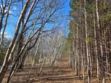 ON Roe Lake Rd - Photo 45