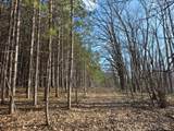 ON Roe Lake Rd - Photo 52