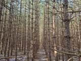 ON Roe Lake Rd - Photo 56