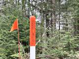off Old Hwy 70 - Photo 7