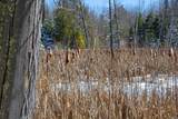 160-acre Pleasant Lake Rd - Photo 12
