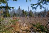 160-acre Pleasant Lake Rd - Photo 26