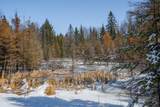 160-acre Pleasant Lake Rd - Photo 38