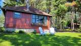 10599 Pine Arbor Dr - Photo 1