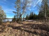 Off Forest Rd 8300 - Photo 12