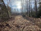 Off Forest Rd 8300 - Photo 15