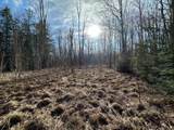 Off Forest Rd 8300 - Photo 16