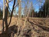 Off Forest Rd 8300 - Photo 17