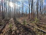Off Forest Rd 8300 - Photo 18