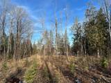 Off Forest Rd 8300 - Photo 19