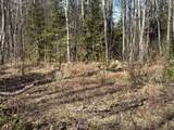 Off Forest Rd 8300 - Photo 21