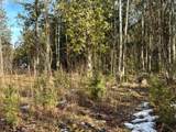 Off Forest Rd 8300 - Photo 22