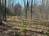 Off Forest Rd 8300 - Photo 23