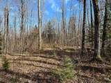 Off Forest Rd 8300 - Photo 24