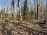 Off Forest Rd 8300 - Photo 26