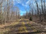 Off Forest Rd 8300 - Photo 29