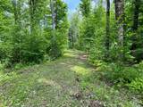 Off Forest Rd 8300 - Photo 3