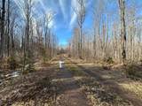 Off Forest Rd 8300 - Photo 30