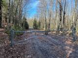 Off Forest Rd 8300 - Photo 34