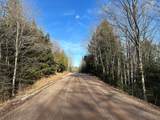 Off Forest Rd 8300 - Photo 39