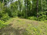 Off Forest Rd 8300 - Photo 4