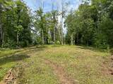 Off Forest Rd 8300 - Photo 5