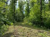 Off Forest Rd 8300 - Photo 6