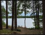 4641 Lake Hills Landing Rd - Photo 8