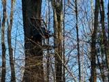 W12200 Moccasin Lake Rd - Photo 37