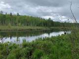 ON Bear Tail Pt - Photo 1