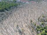 ON Bear Tail Pt - Photo 10