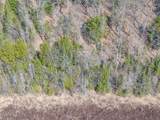 ON Bear Tail Pt - Photo 22