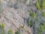 ON Bear Tail Pt - Photo 24