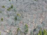 ON Bear Tail Pt - Photo 25