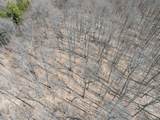 ON Bear Tail Pt - Photo 28