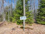 ON Bear Tail Pt - Photo 33