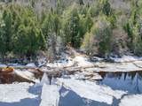 ON Bear Tail Pt - Photo 38
