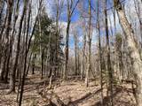 Lot 26 Black Forest Rd - Photo 11