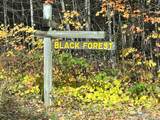 Lot 26 Black Forest Rd - Photo 9