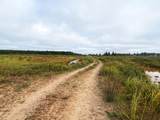 700 Ac Hwy 51 - Photo 11