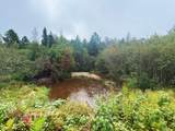700 Ac Hwy 51 - Photo 15