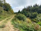 700 Ac Hwy 51 - Photo 16