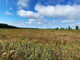 700 Ac Hwy 51 - Photo 24