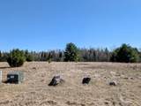 Lot 6 Bear Paw Tr - Photo 2