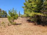 Lot 11 Bear Paw Tr - Photo 2